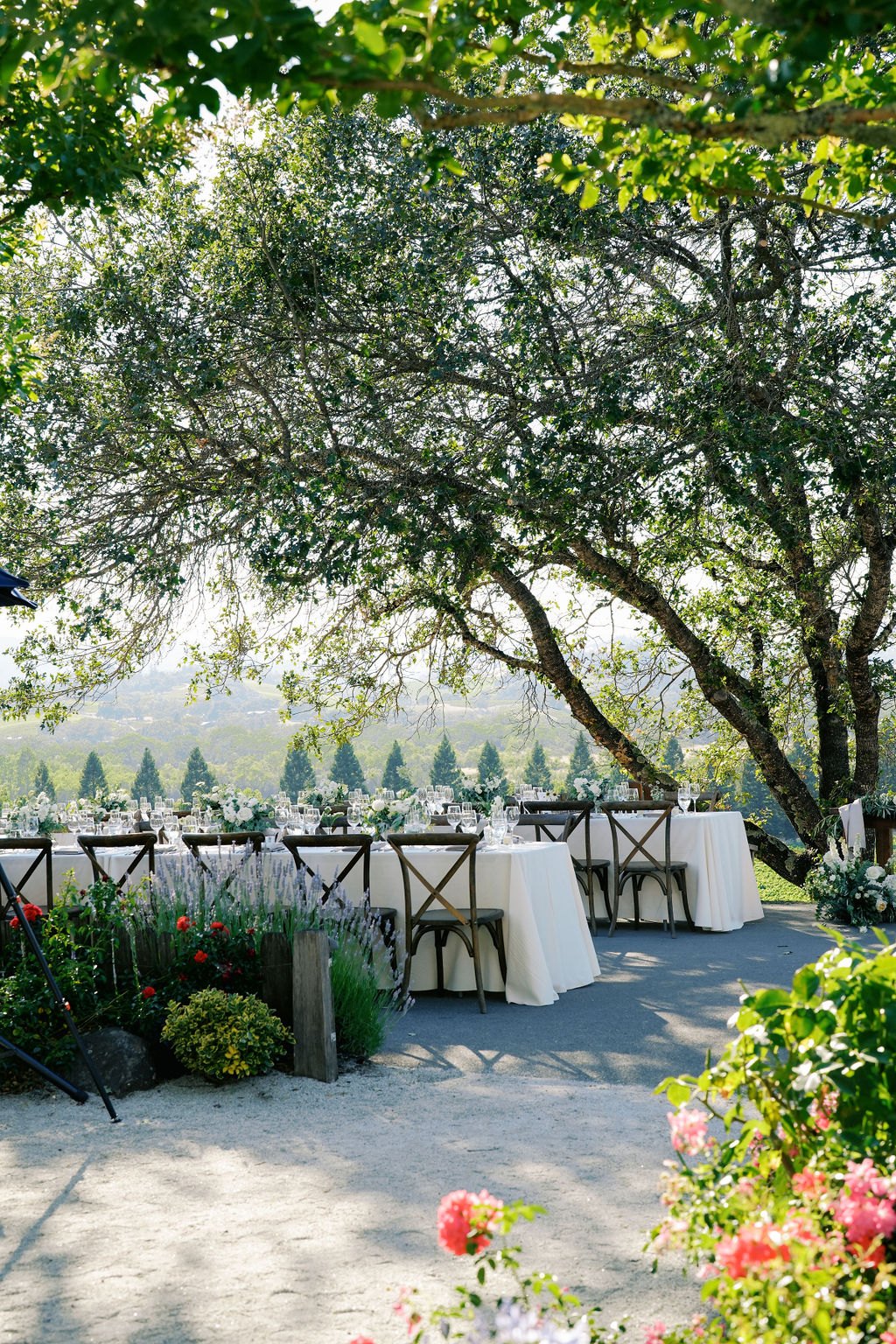 Copain Wines — owner-supplied property photograph 5