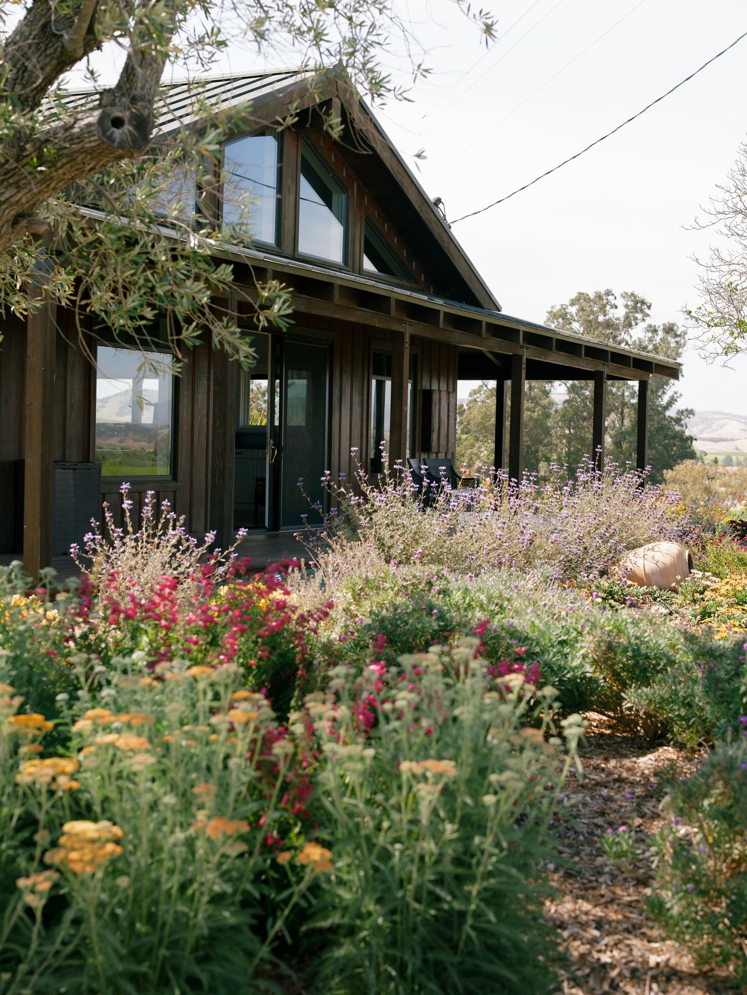 Olive Hill Estates — owner-supplied property photograph 18