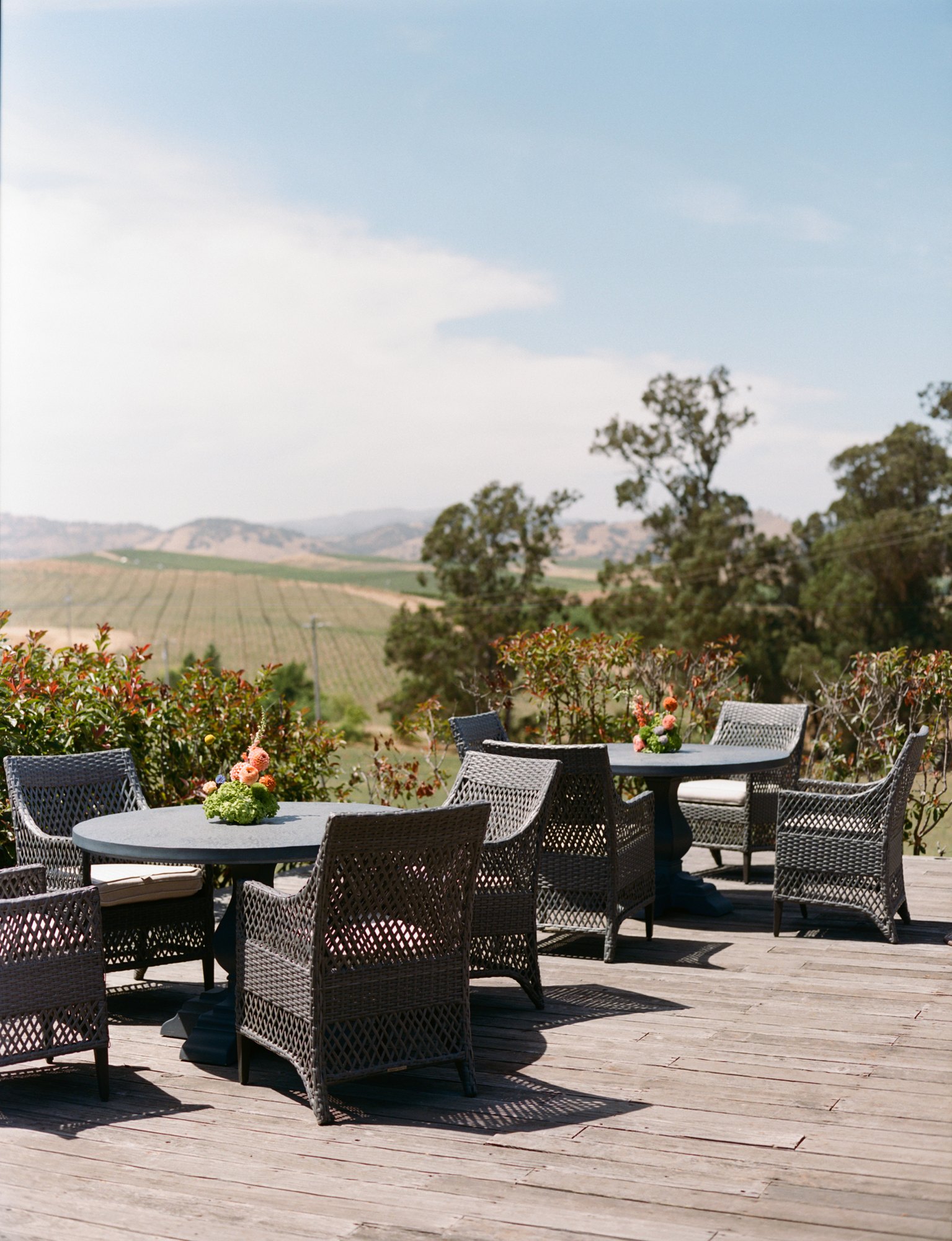 Olive Hill Estates — owner-supplied property photograph 17