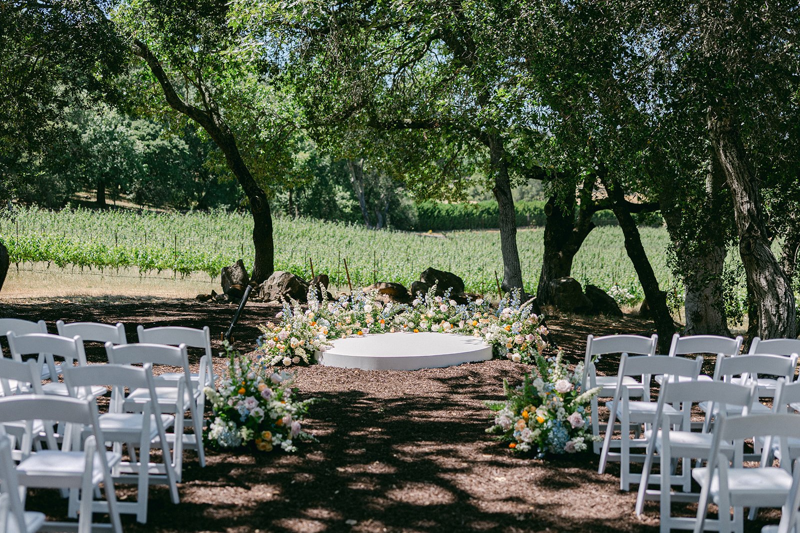 Sonoma Vineyard Estate — owner-supplied property photograph 11