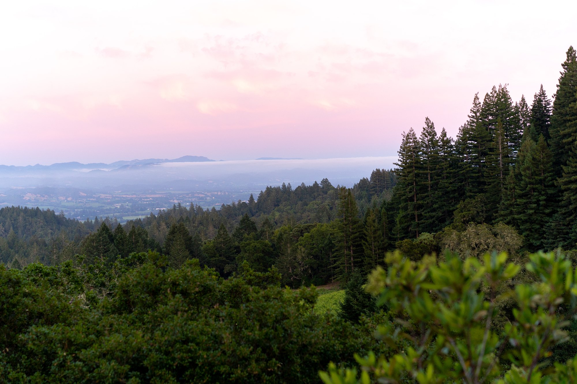 Heron Ridge — owner-supplied property photograph 12