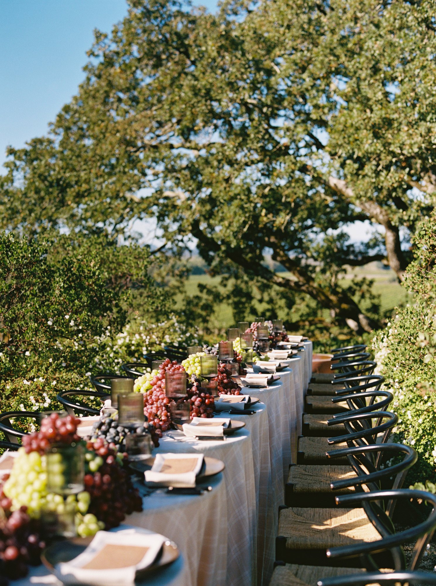 Copain Wines — owner-supplied property photograph 7
