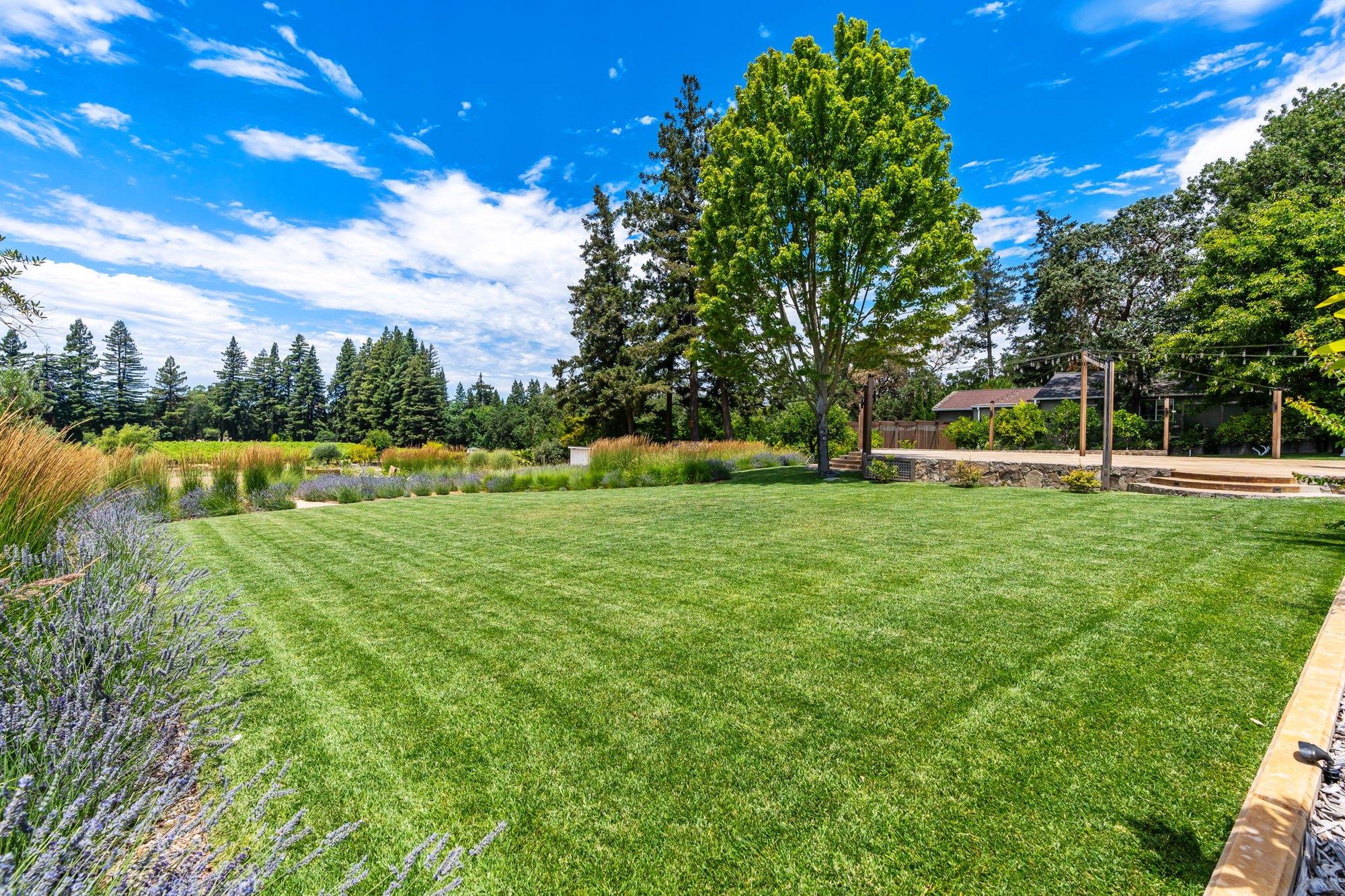 Talahusi Estate — owner-supplied property photograph 8