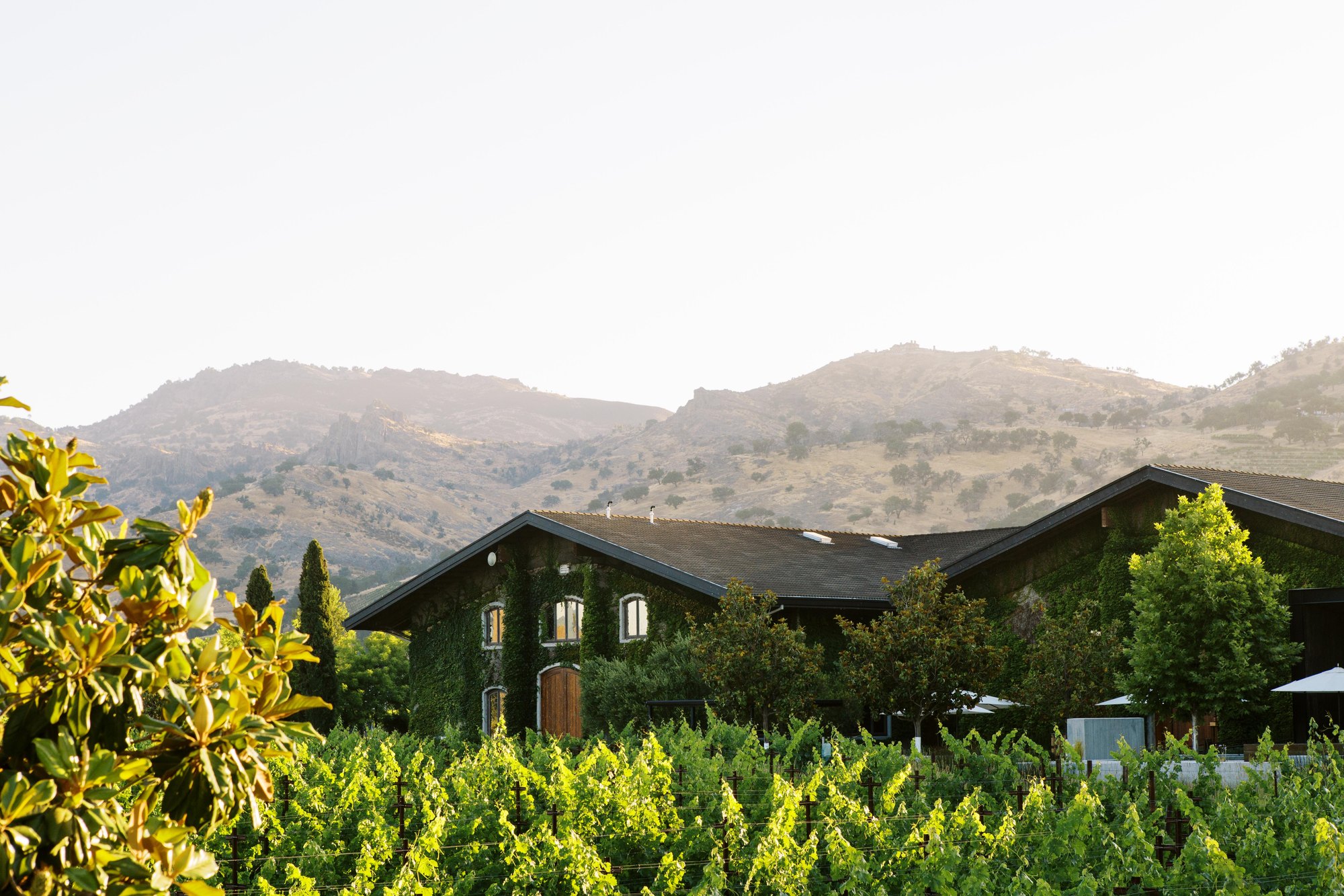 Clos Du Val — owner-supplied property photograph 10