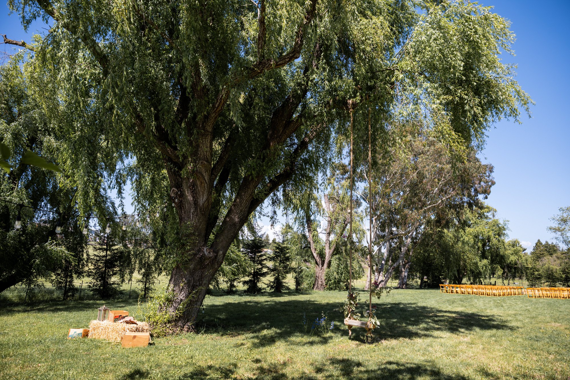 Shin Dig Sonoma — owner-supplied property photograph 15