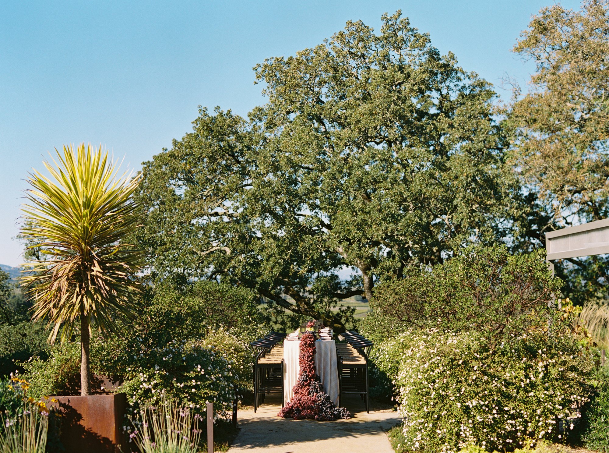 Copain Wines — owner-supplied property photograph 11