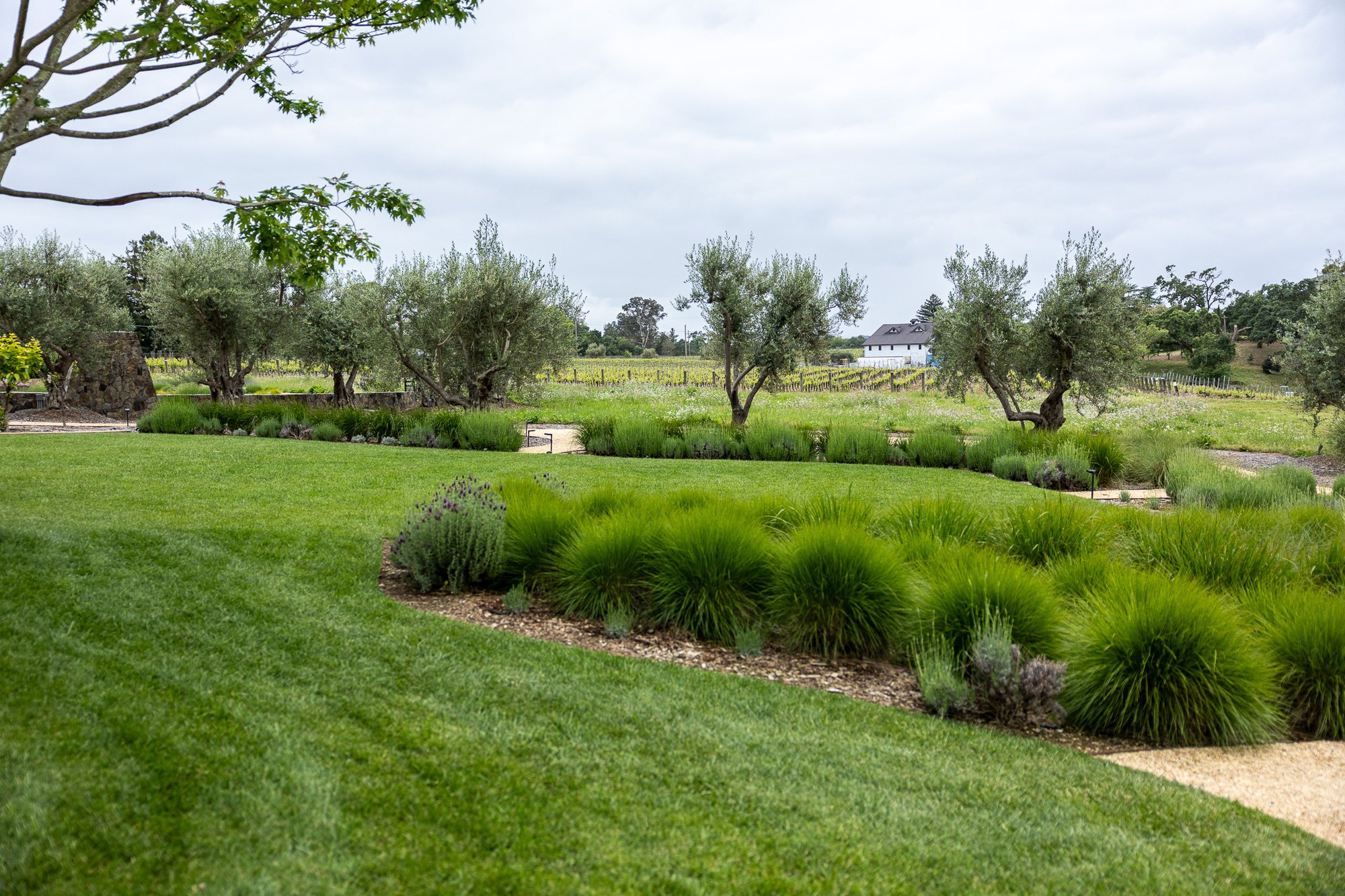 Talahusi Estate — owner-supplied property photograph 2