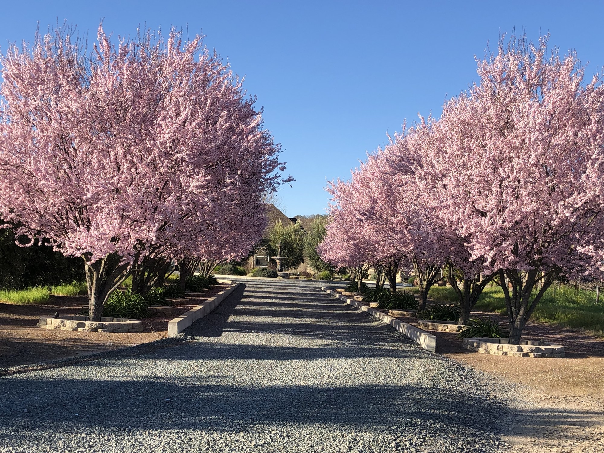 Gramm Vineyards — owner-supplied property photograph 9