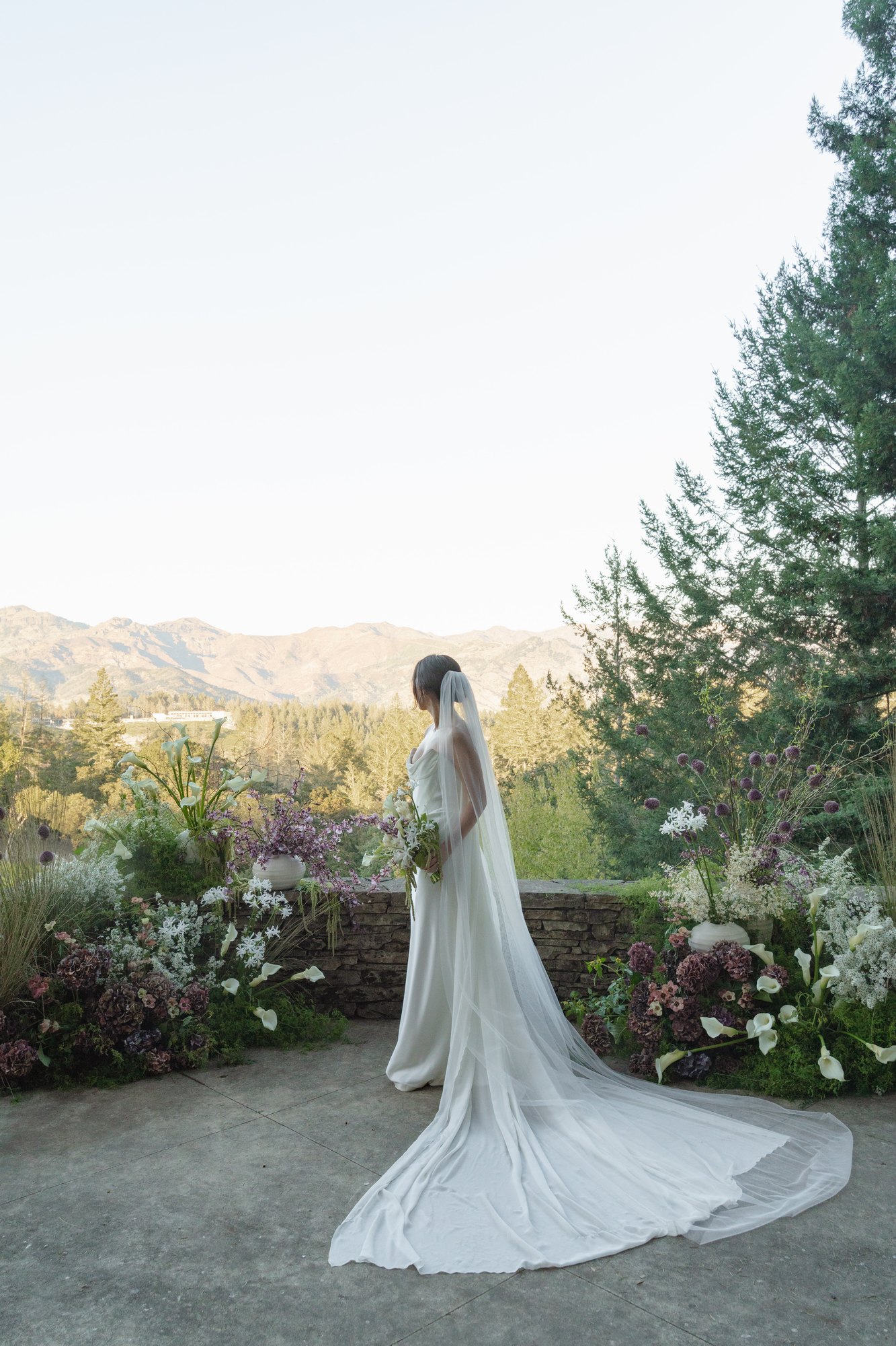 Calistoga Vineyard Estate — owner-supplied property photograph 7