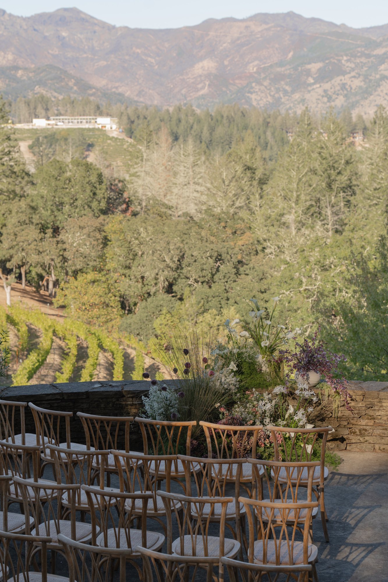Calistoga Vineyard Estate — owner-supplied property photograph 10
