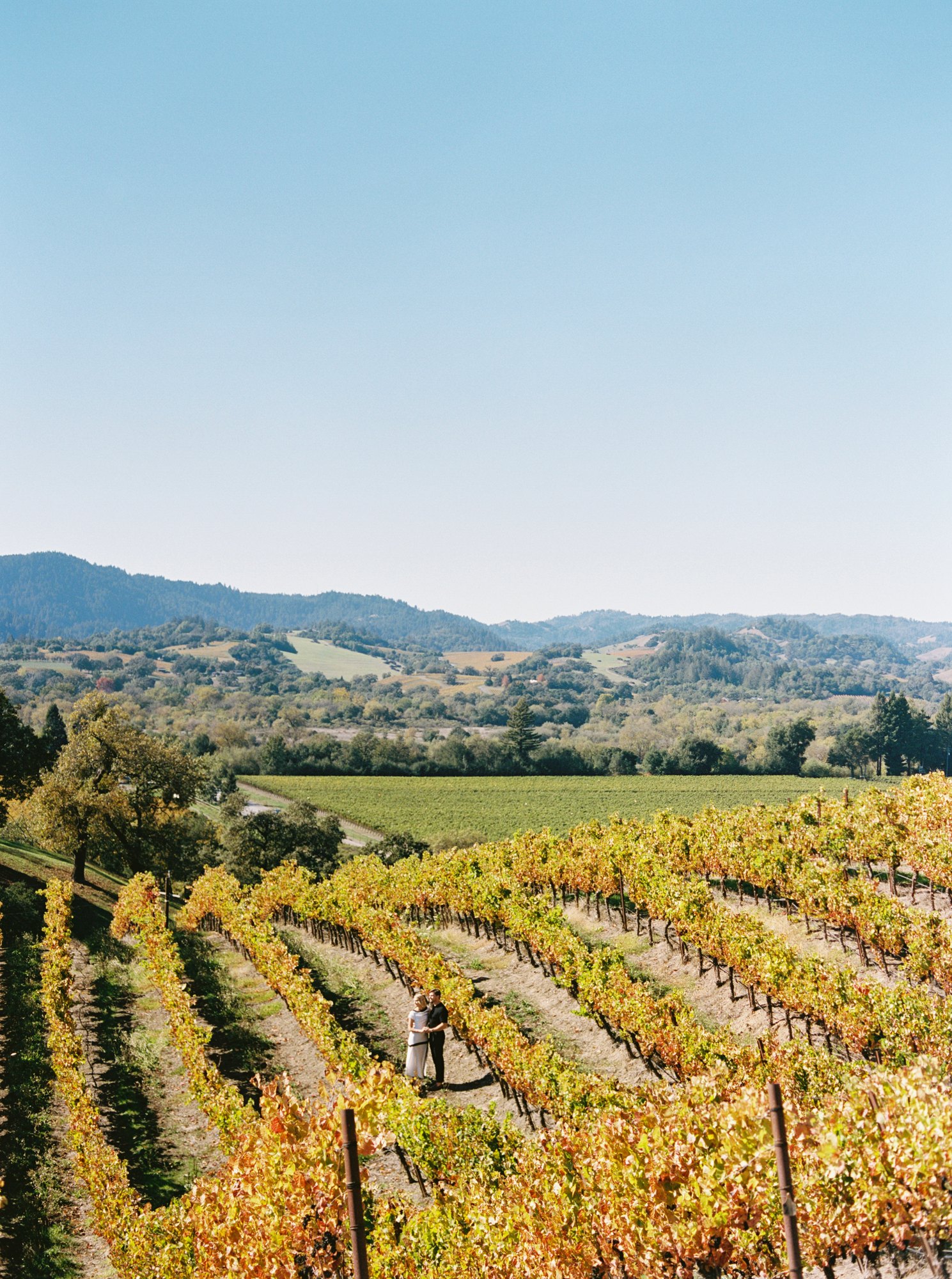 Copain Wines — owner-supplied property photograph 6
