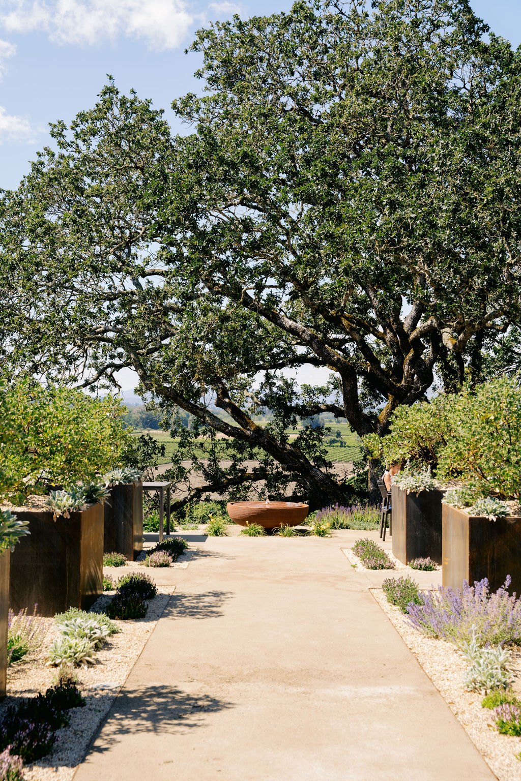 Copain Wines — owner-supplied property photograph 3