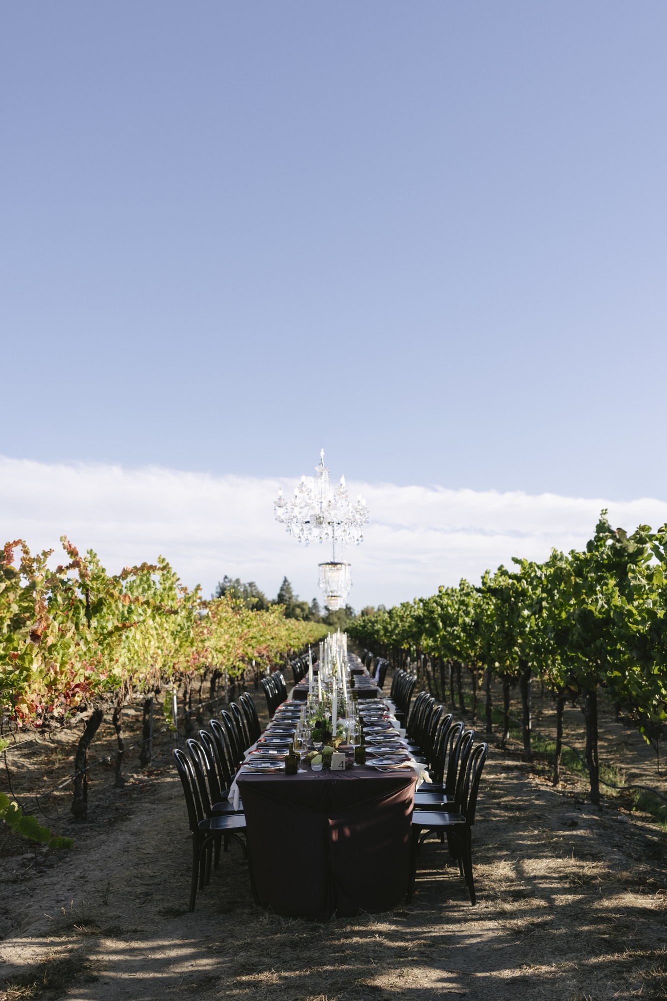 Gramm Vineyards — owner-supplied property photograph 5