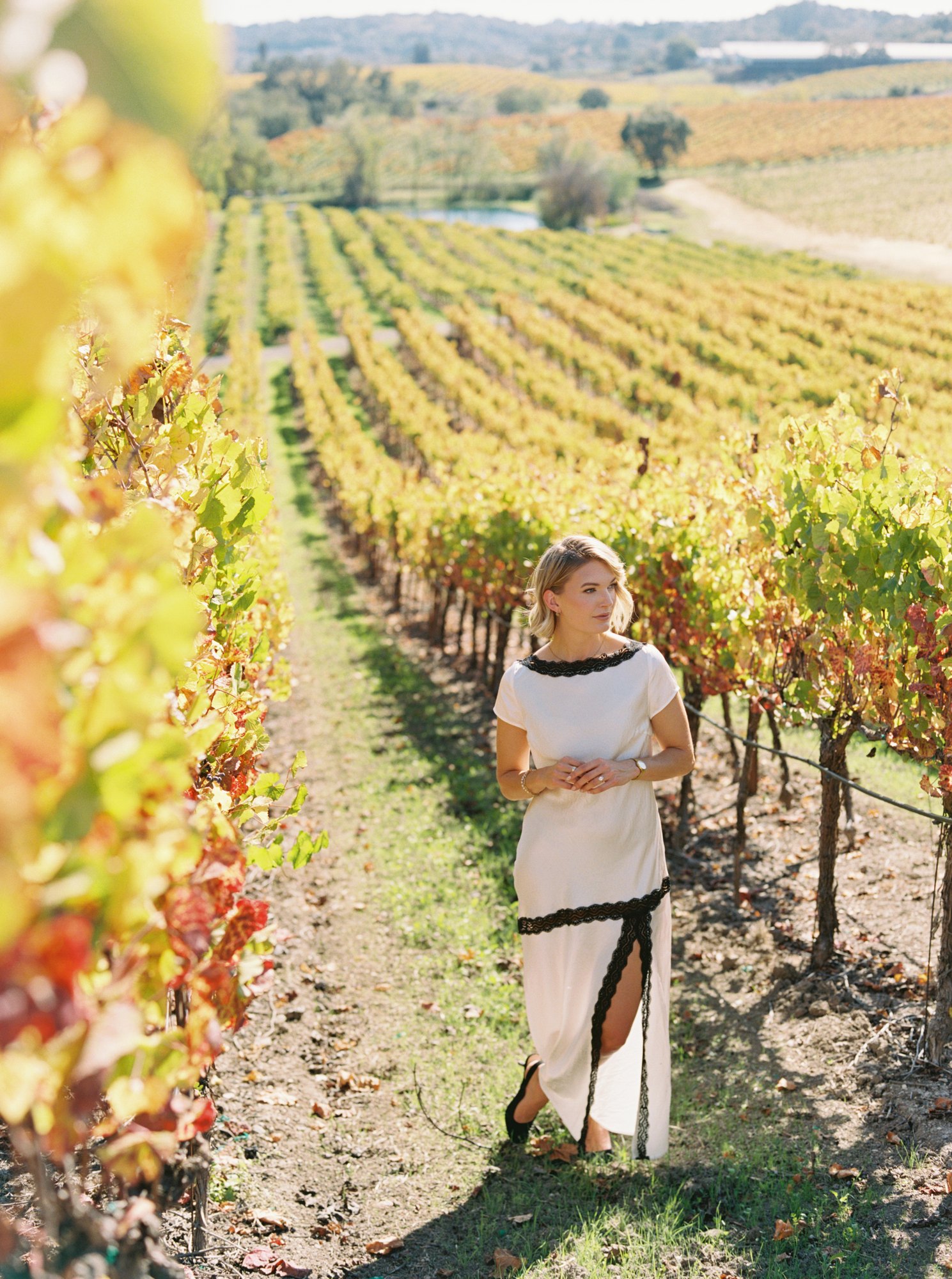 Copain Wines — owner-supplied property photograph 14