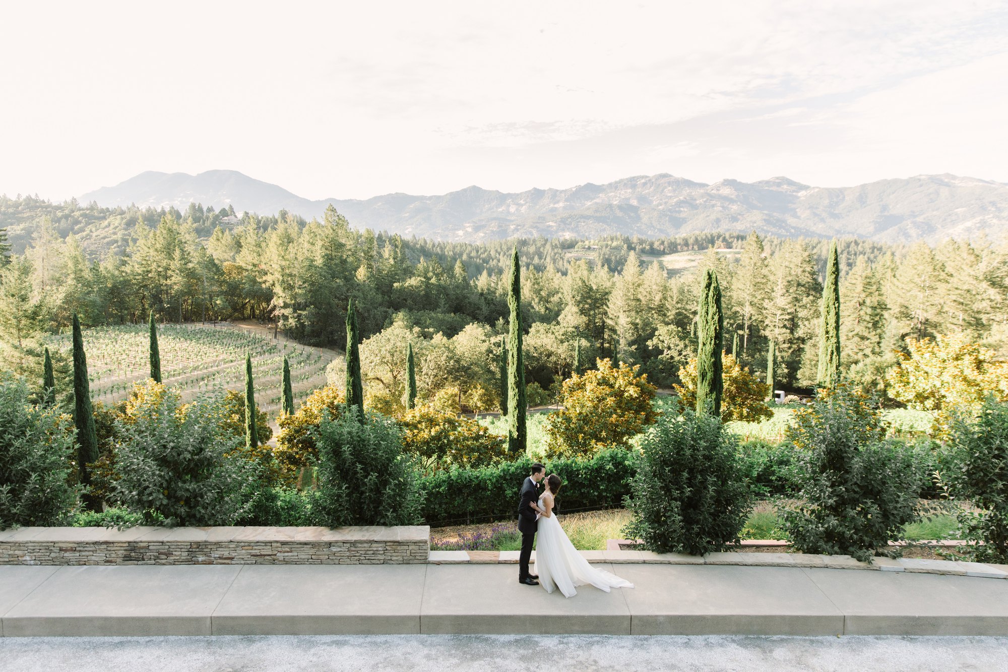 Calistoga Vineyard Estate — owner-supplied property photograph 11