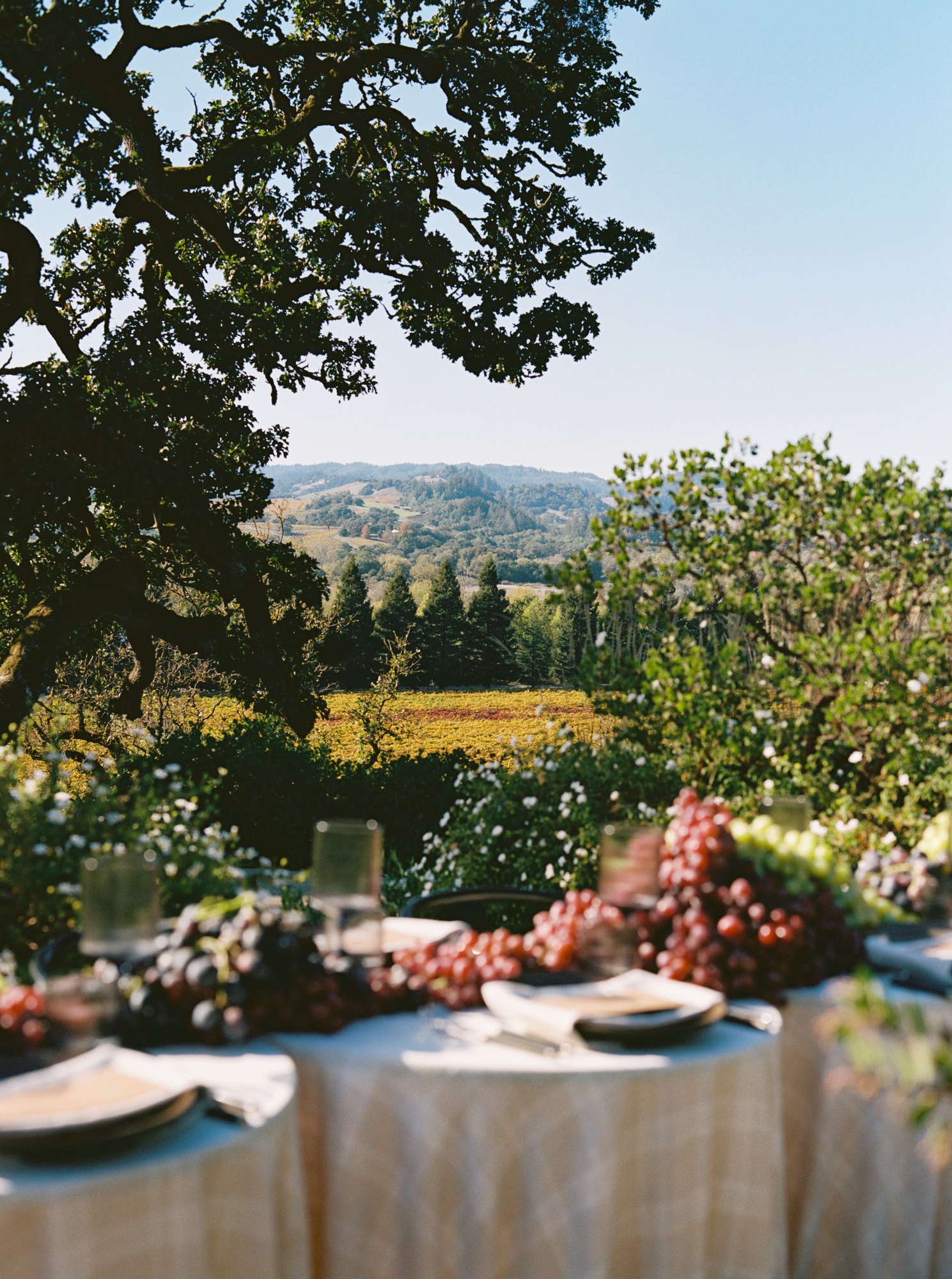Copain Wines — owner-supplied property photograph 8