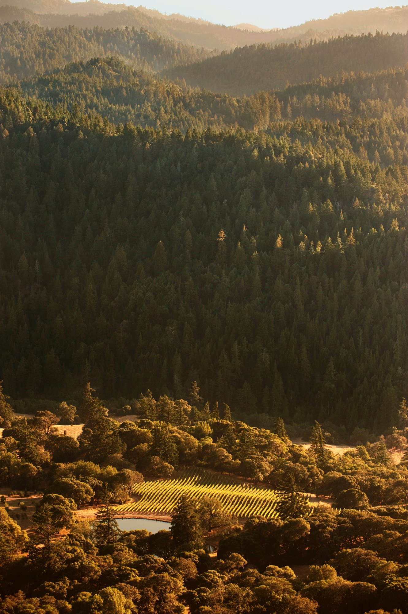 High Rock Ranch — owner-supplied property photograph 3