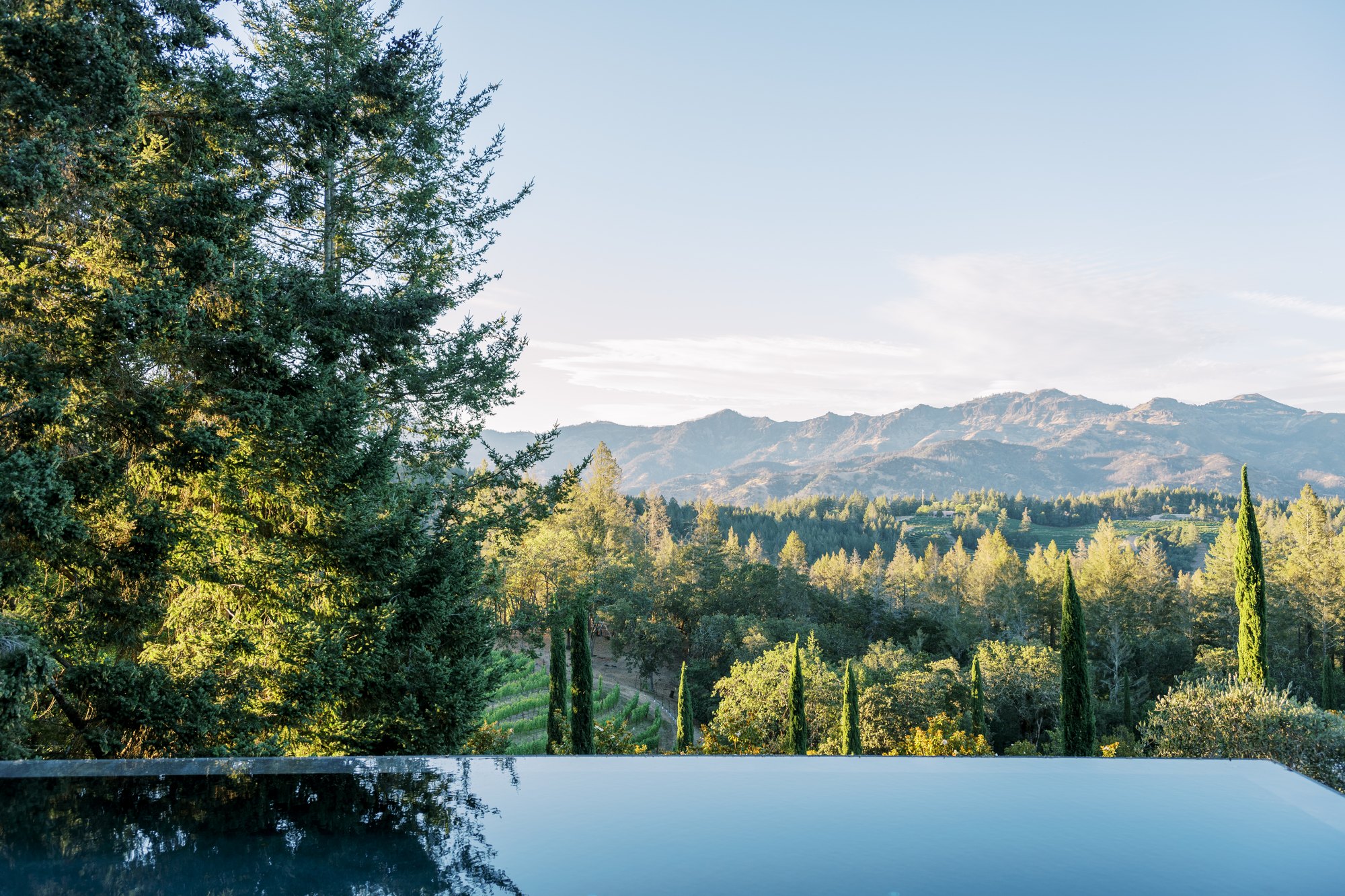 Calistoga Vineyard Estate — owner-supplied property photograph 14