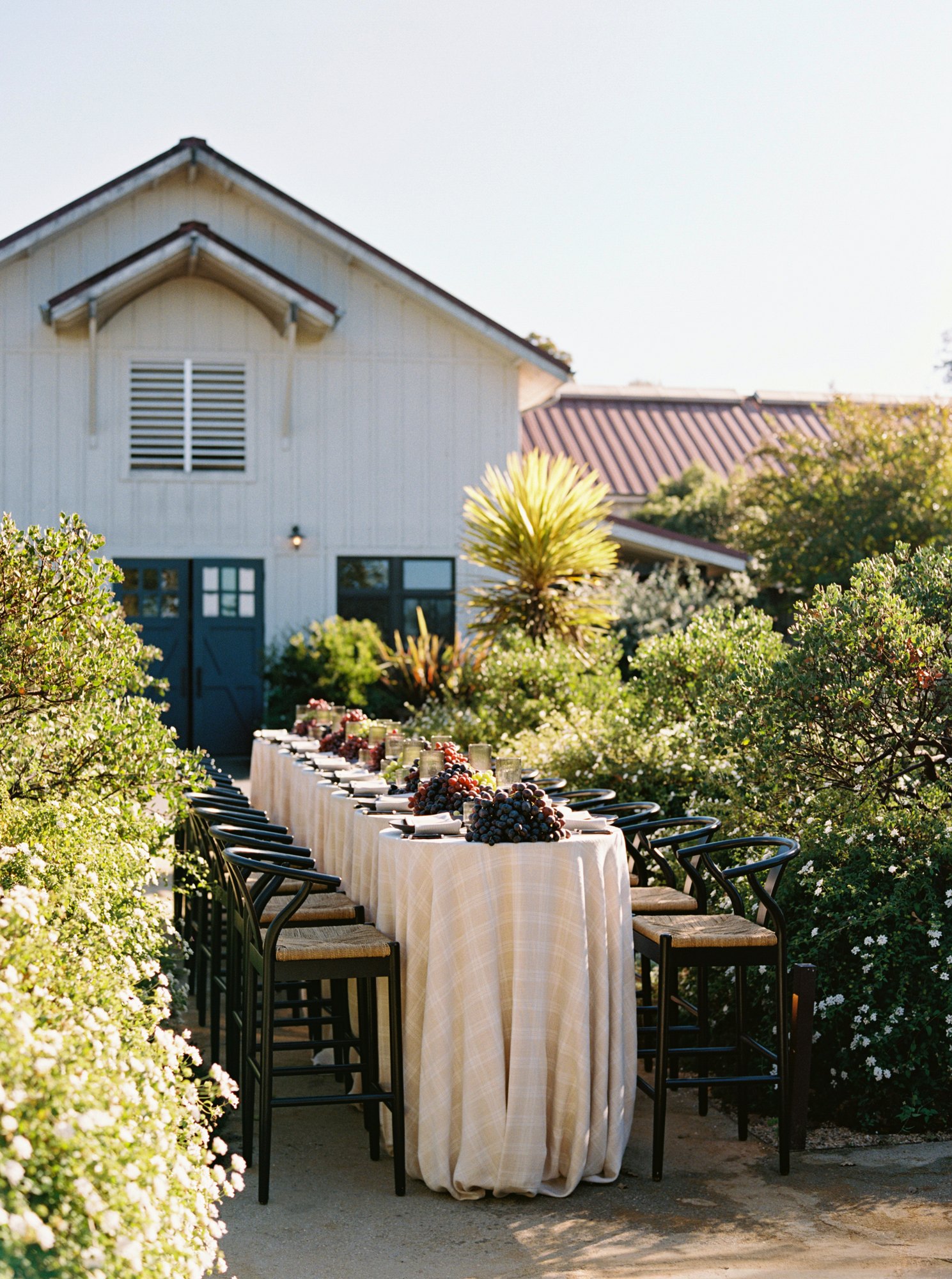 Copain Wines wedding venue in Healdsburg, California wine country