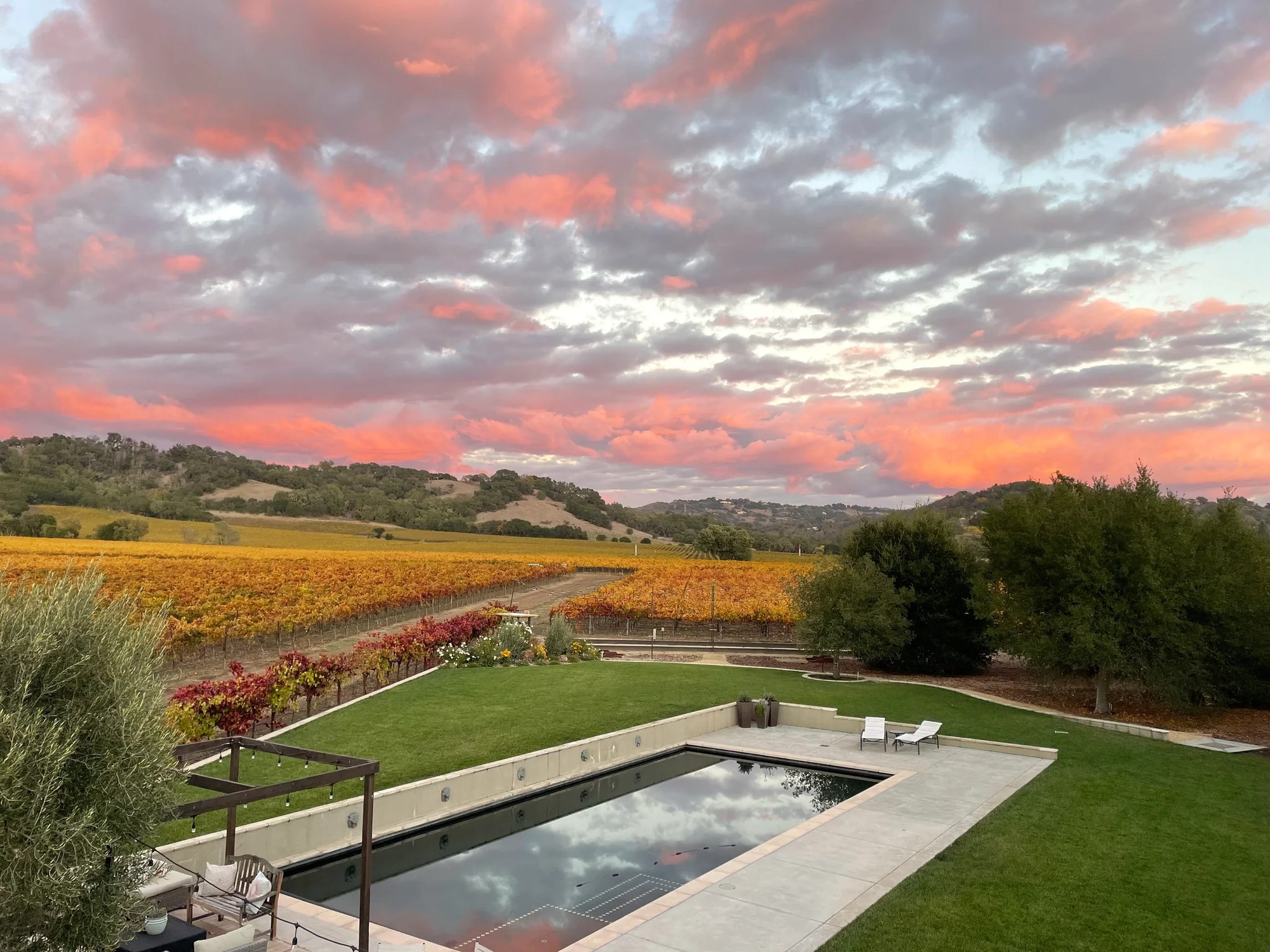 Overview of Gramm Vineyards with cabernet rows, lawns and patios
