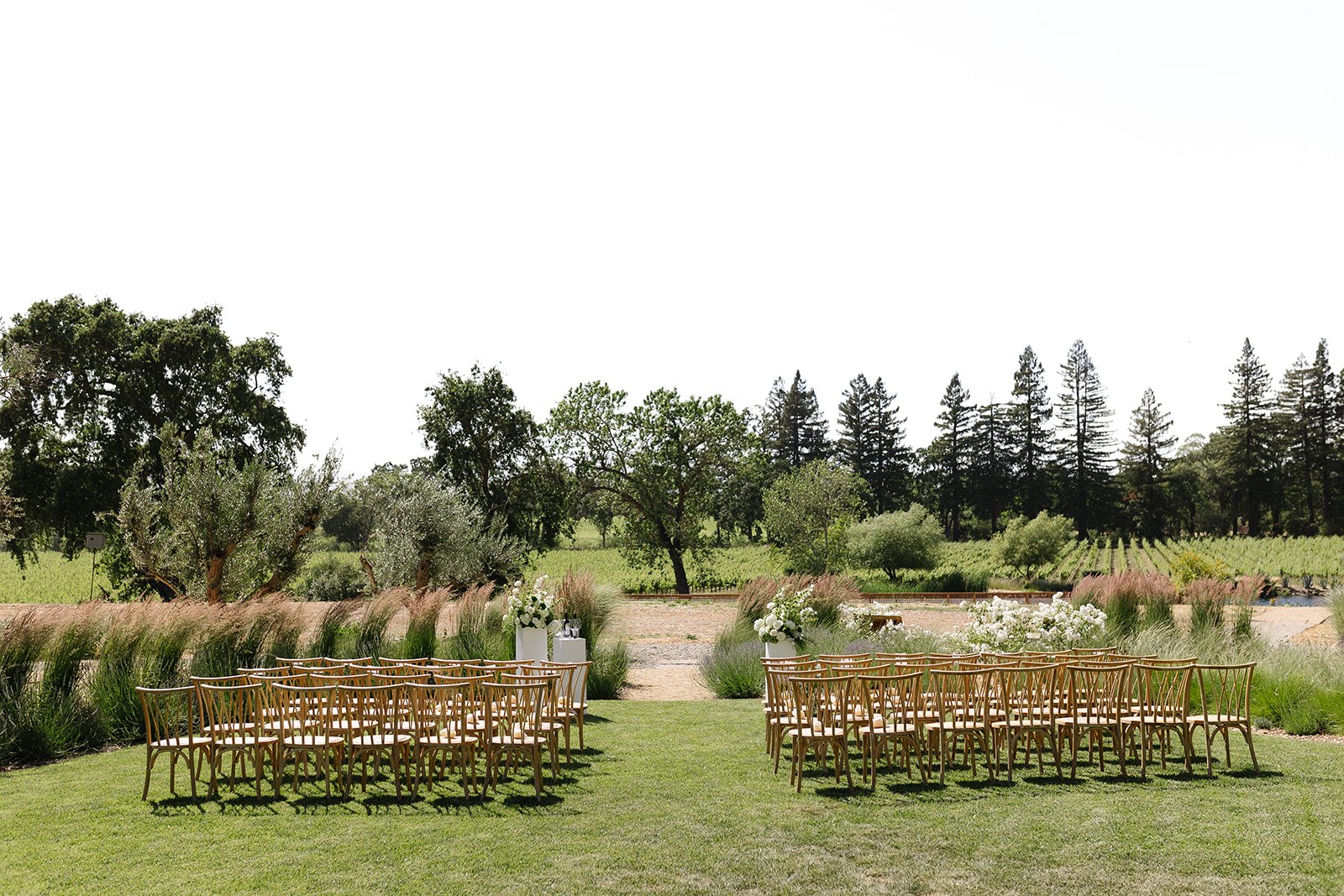 Intimate editorial wedding scene at Talahusi Estate in Napa Valley