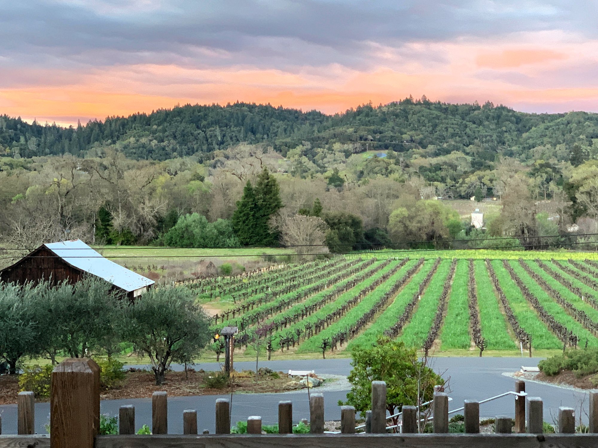 Capo Creek Winery & Caves — owner-supplied property photograph 12