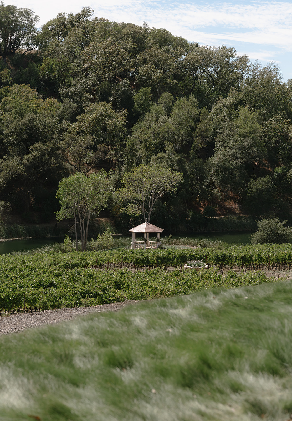 Mountain Meadows — owner-supplied property photograph 5