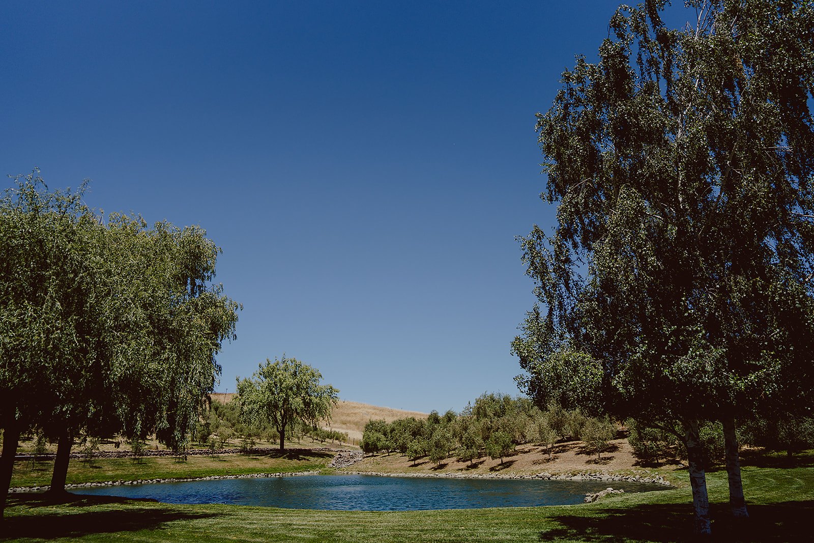 Beaumont Farms — owner-supplied property photograph 13