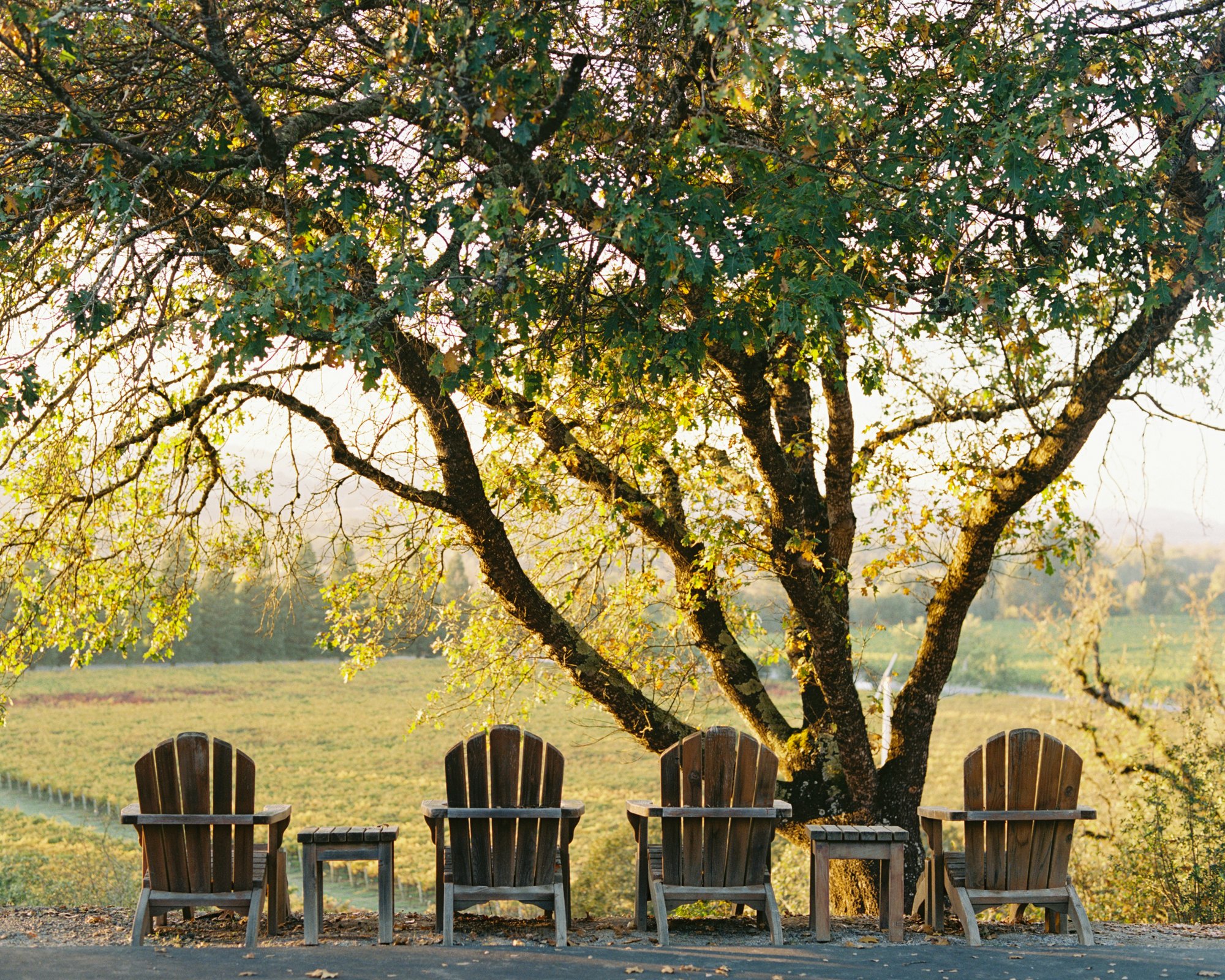 Copain Wines — owner-supplied property photograph 2
