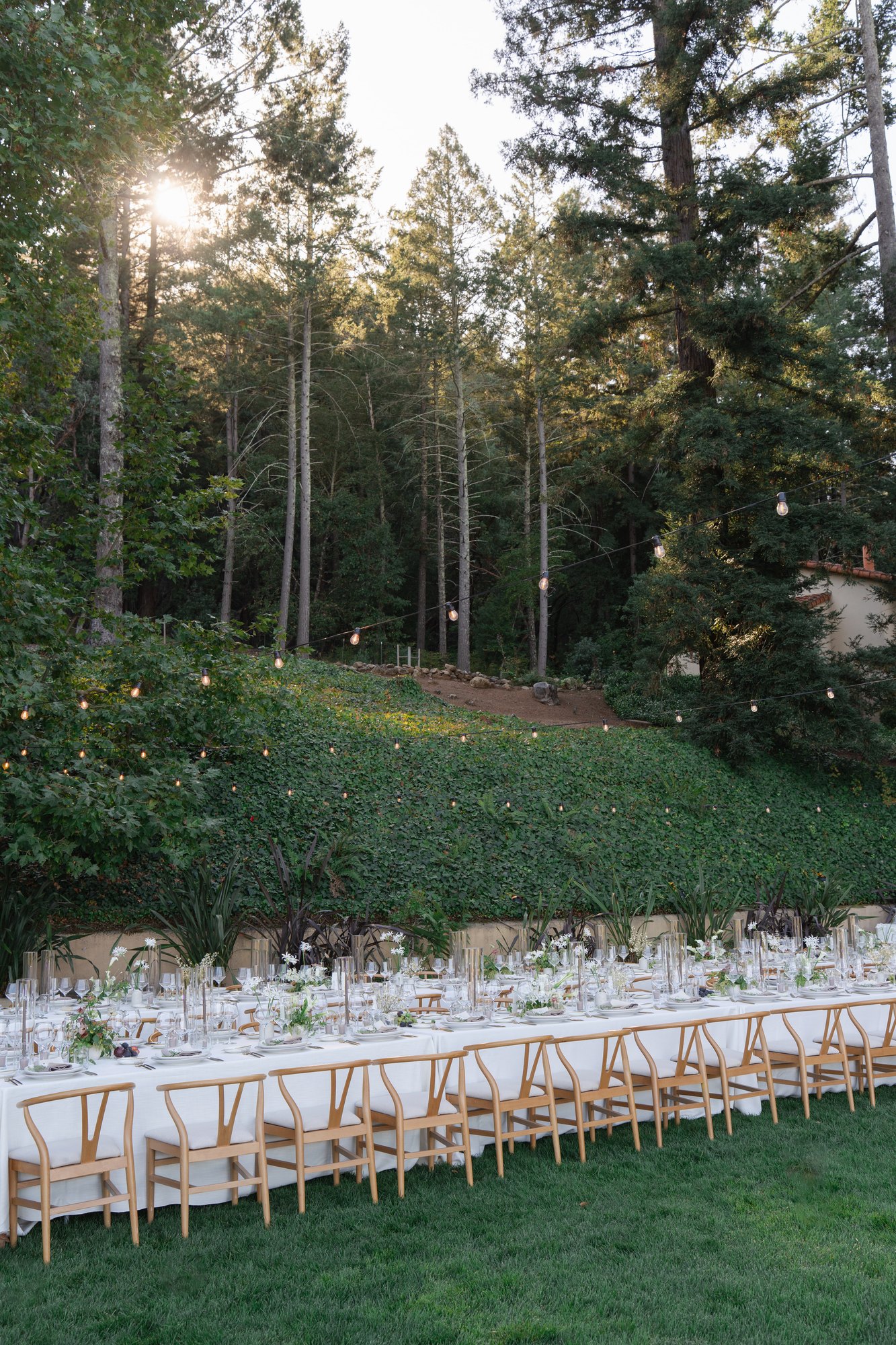 Calistoga Vineyard Estate — owner-supplied property photograph 3