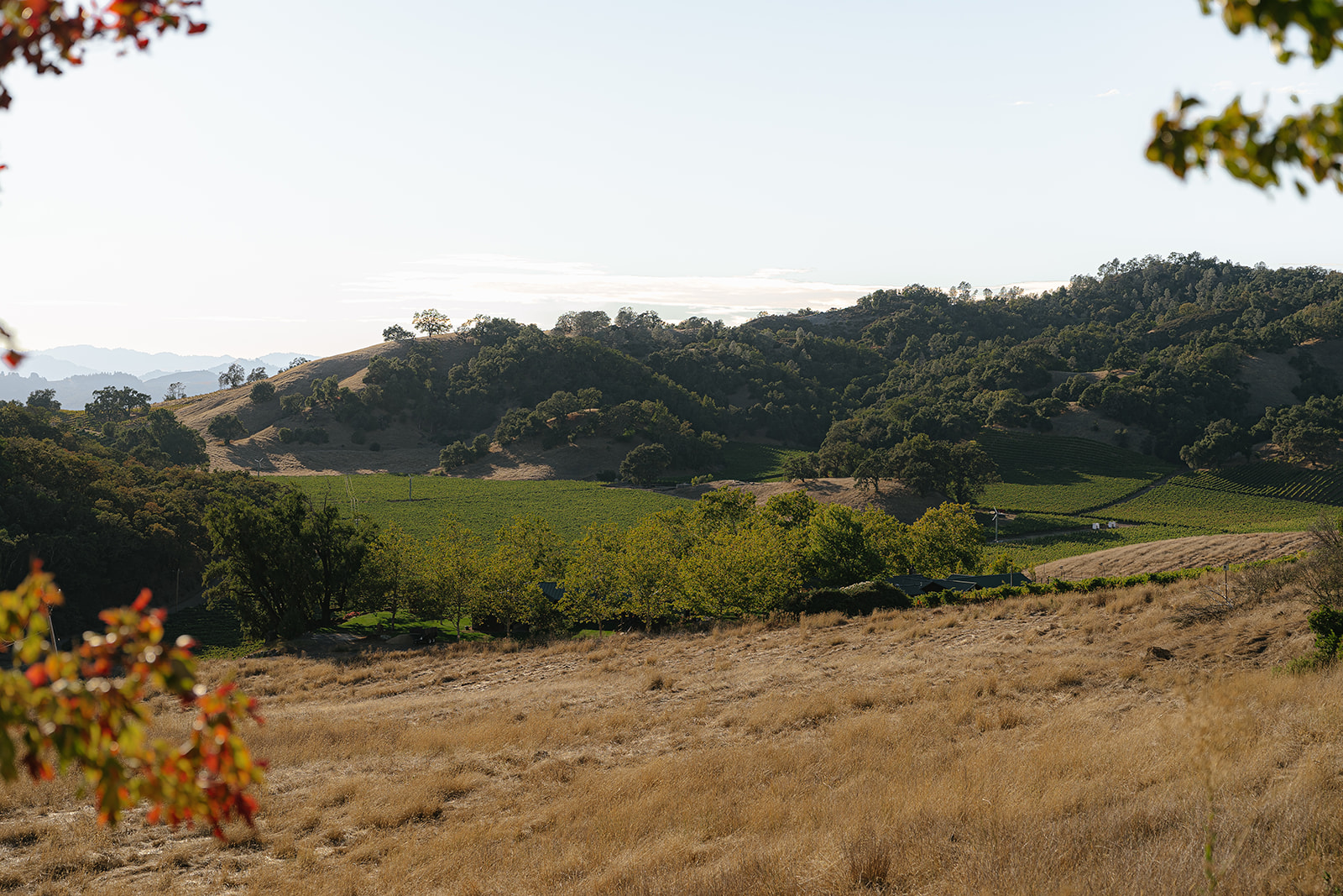 Mountain Meadows — owner-supplied property photograph 2