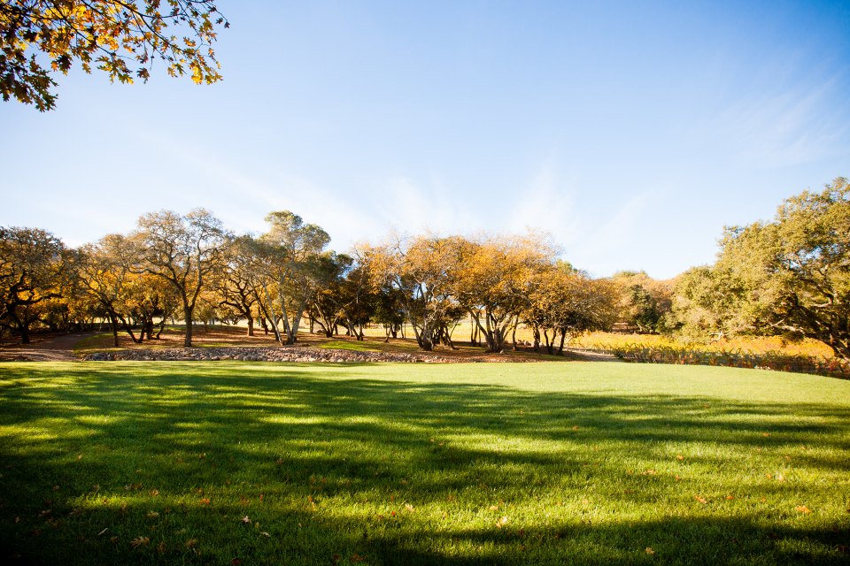Sonoma Vineyard Estate wedding venue in Sonoma, California wine country