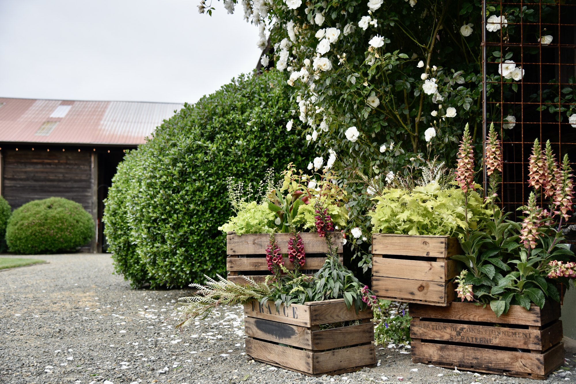 Alpine Ranch — owner-supplied property photograph 7
