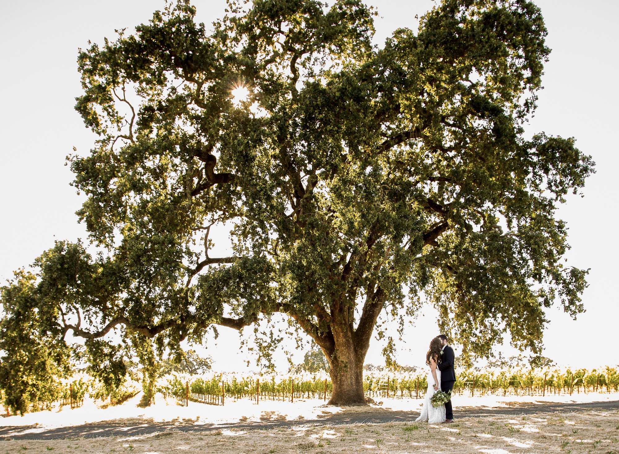 Gramm Vineyards — owner-supplied property photograph 8