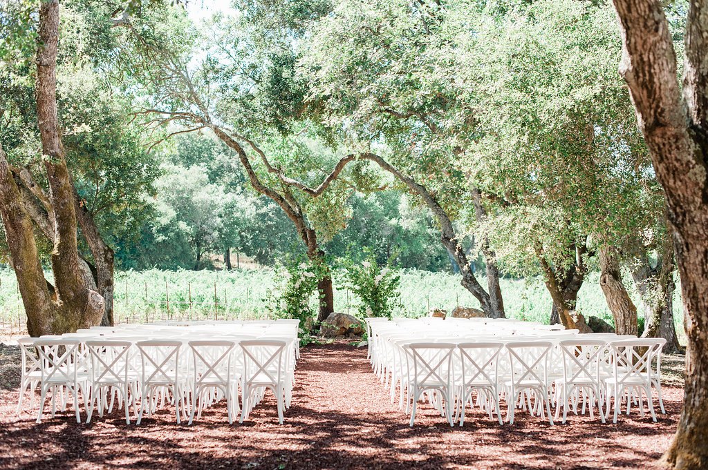 Sonoma Vineyard Estate — owner-supplied property photograph 9