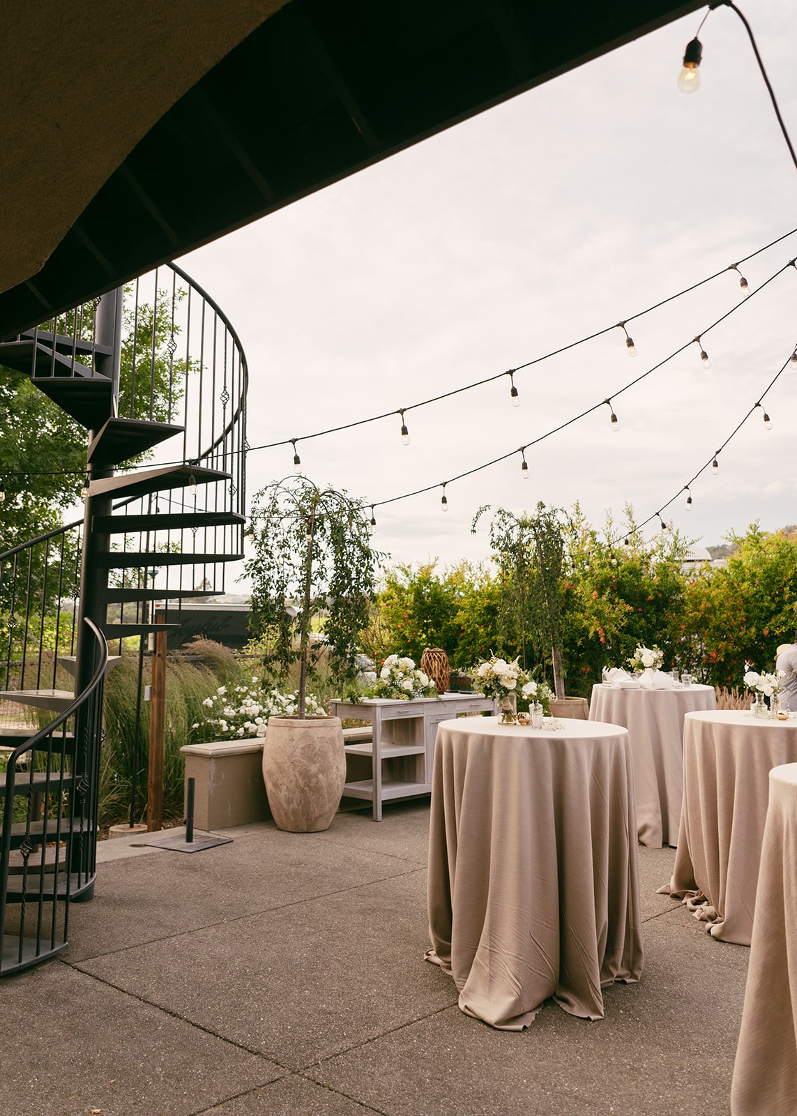 Gramm Vineyards — owner-supplied property photograph 15