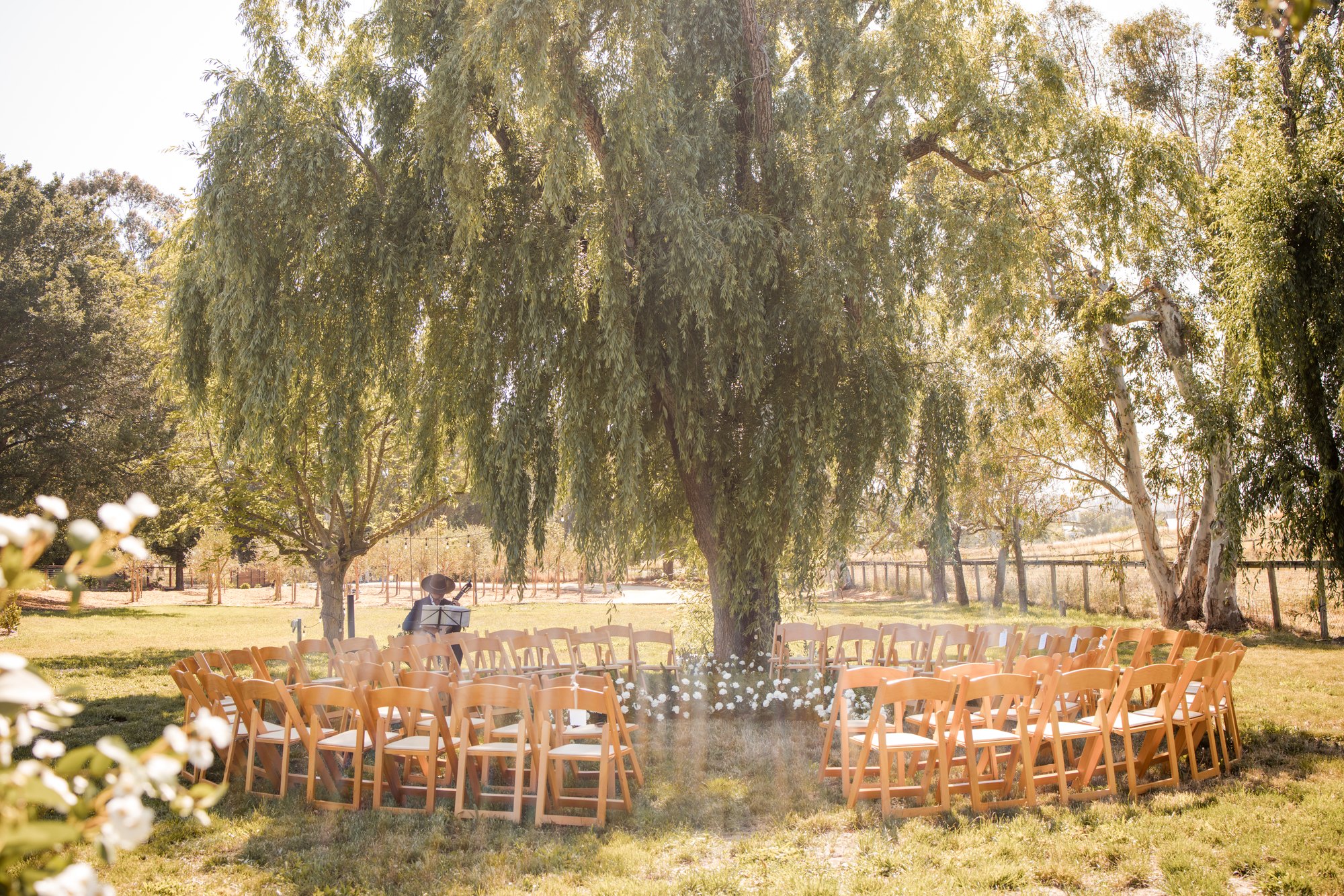 Shin Dig Sonoma — owner-supplied property photograph 14