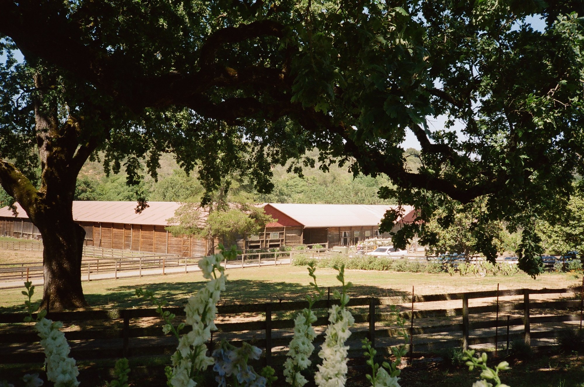 Alpine Ranch wedding venue in Sonoma County, California wine country