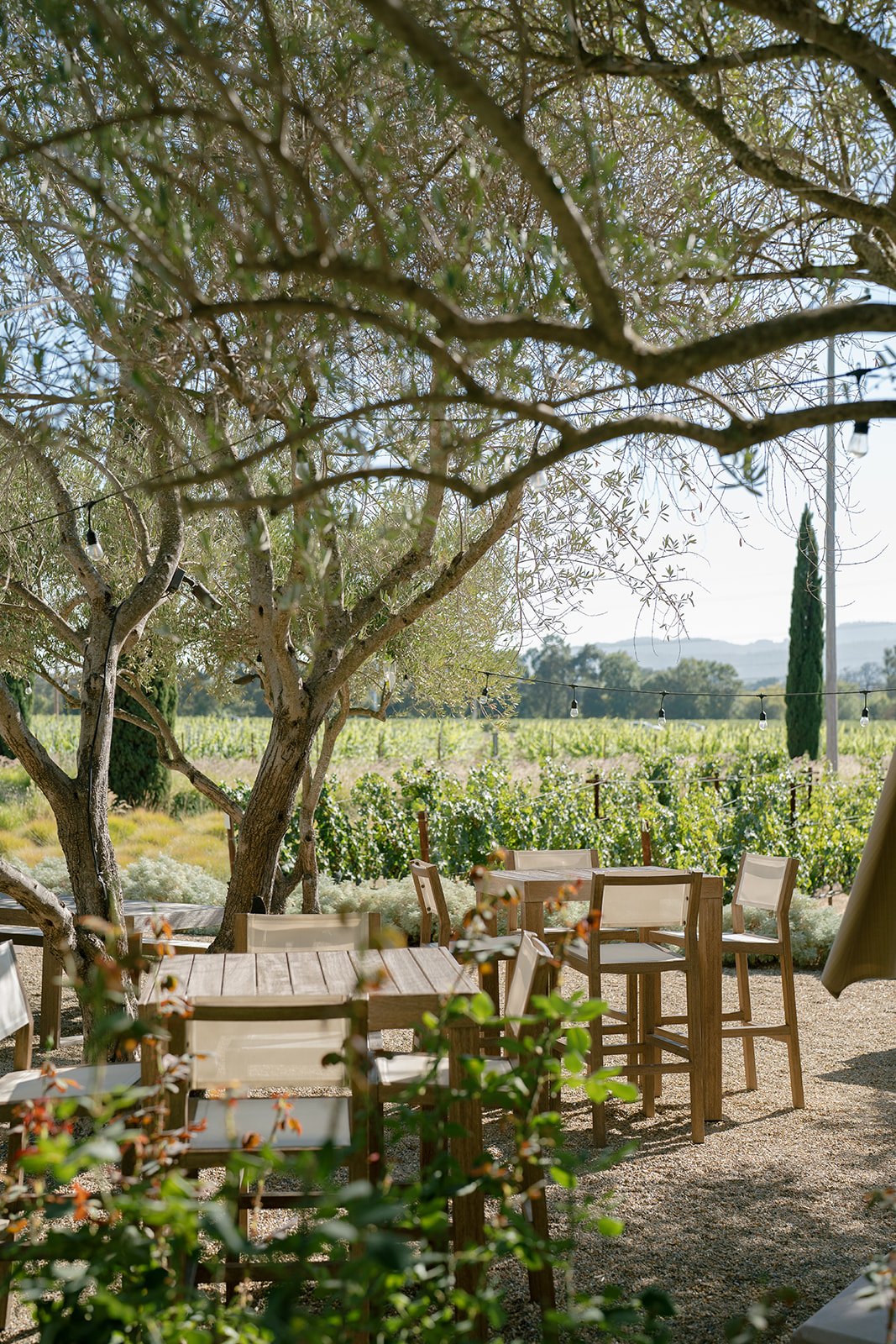 Clos Du Val — owner-supplied property photograph 9