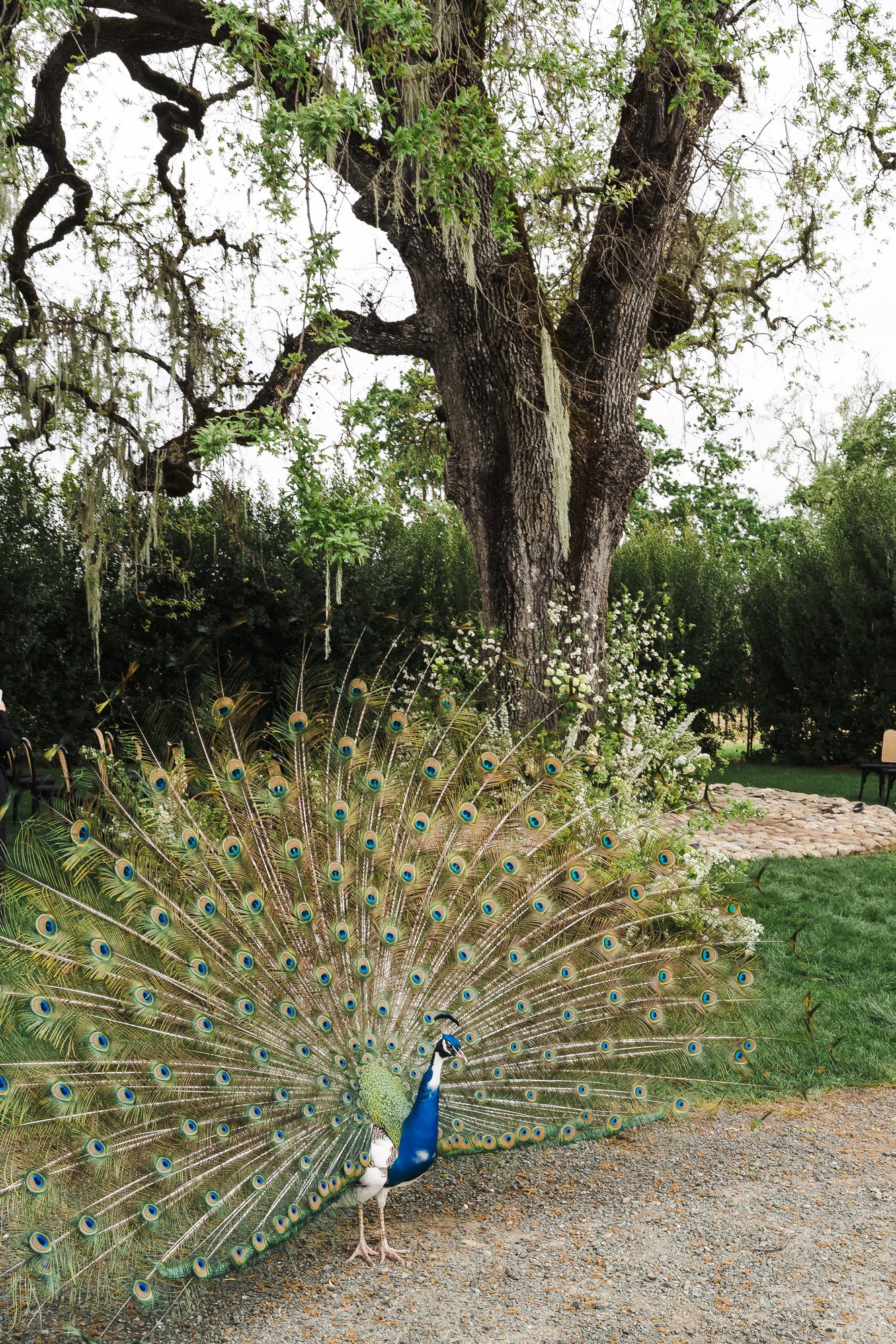 Double R Ranch — owner-supplied property photograph 9